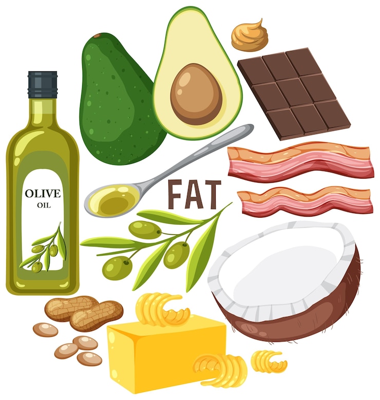 Vetor variedade de alimentos gordurosos