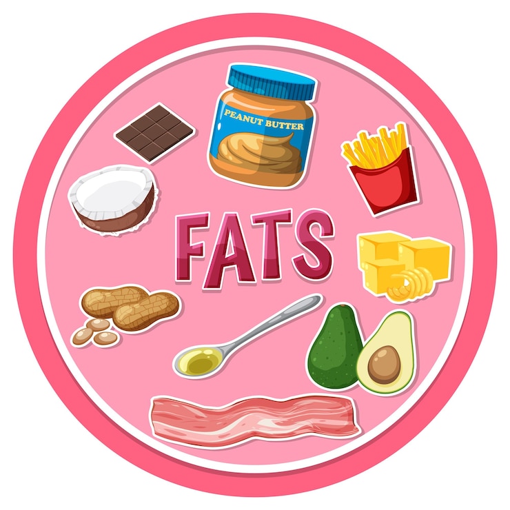 Vetor variedade de alimentos gordurosos