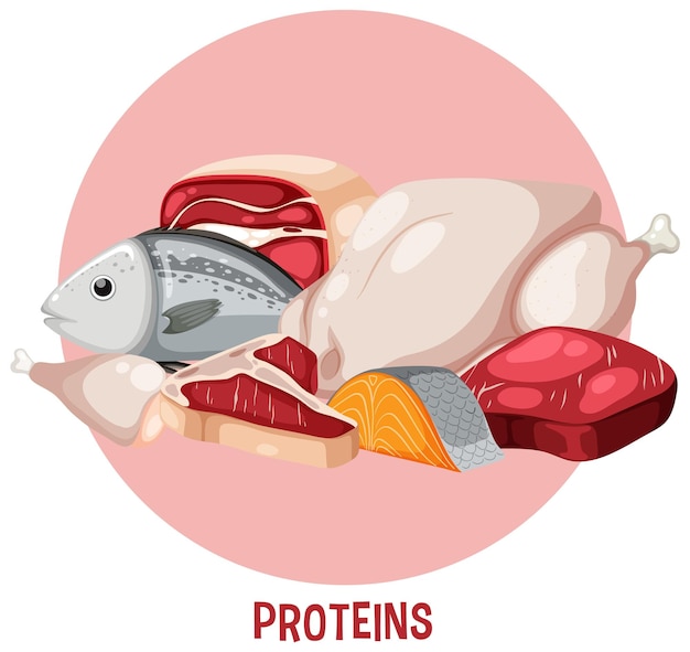 Variedade de carnes de proteína com texto