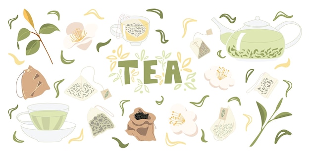 Vários elementos do chá verde chinês em um fundo branco isolado Um conjunto de itens de cozinha de desenhos animados coloridos para a cerimônia do chá Flores vetoriais de Camellia sinensis