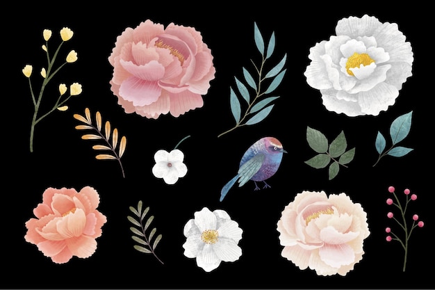 Vários fundo de ilustrações de design de flores