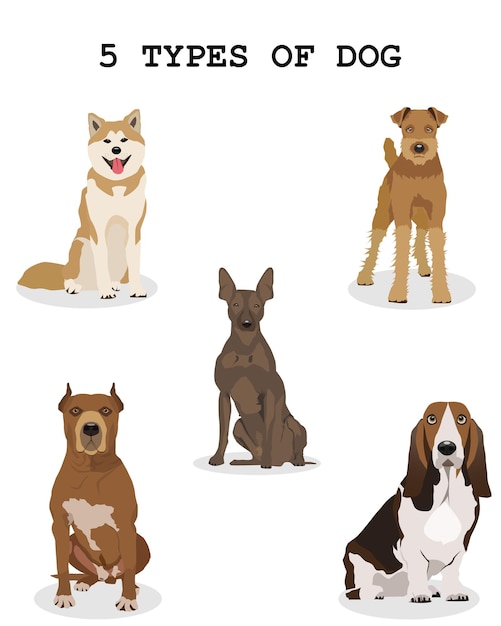 Vários tipos de cães desenhando por design vetorial