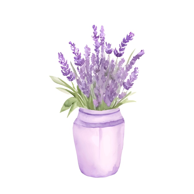 Vaso aquarela com flores de buquê de lavanda isoladas em ilustração vetorial de fundo branco