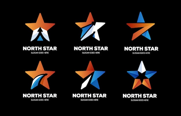 Vectey_Star_Logo_RD0521 (em inglês)