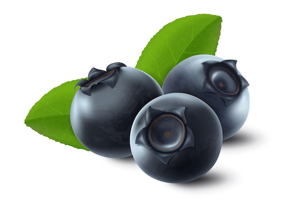 Vector 3d mirtilo cru realista com folhas verdes, isoladas no fundo branco. Bagas maduras cheias de nutrientes e vitaminas, ingrediente de cozimento fresco suculento.