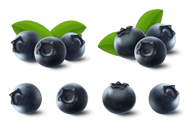 Vector 3d mirtilo cru realista com folhas verdes, isoladas no fundo branco. Bagas maduras cheias de nutrientes e vitaminas, ingrediente de cozimento fresco suculento.