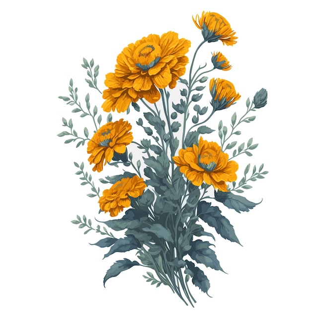 Vector aquarela alpino calêndula clipart buquê floral