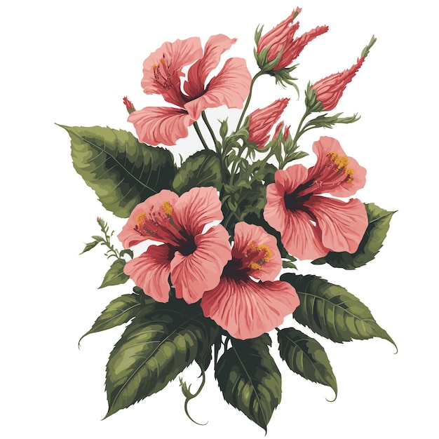 Vetor vector aquarela hibiscus tiliaceus clipart flor floral editável