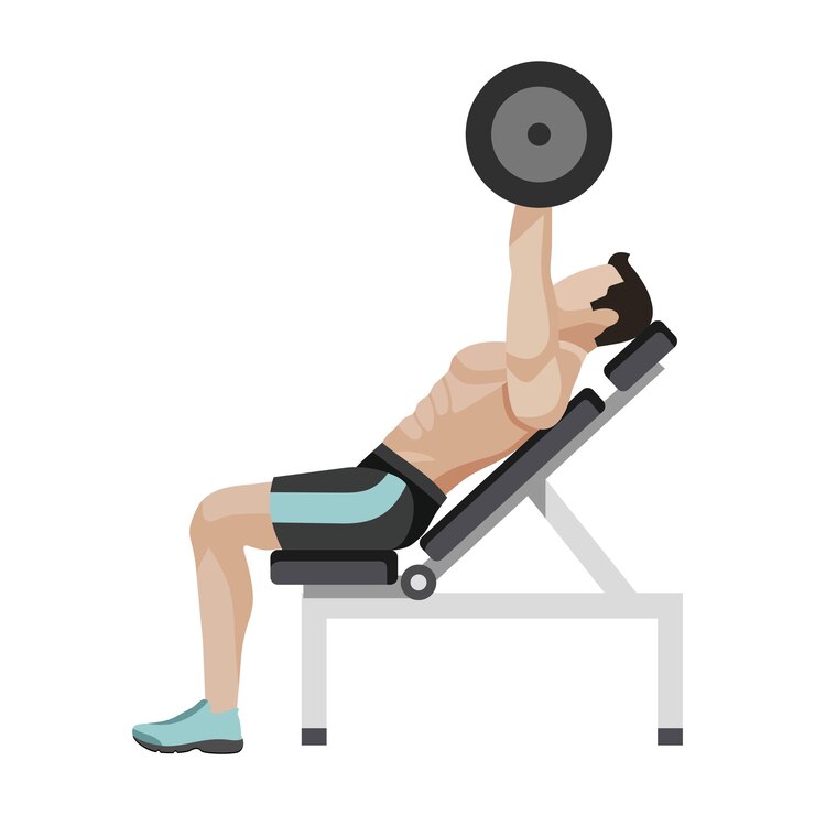 Vetor vector bodybuilder15