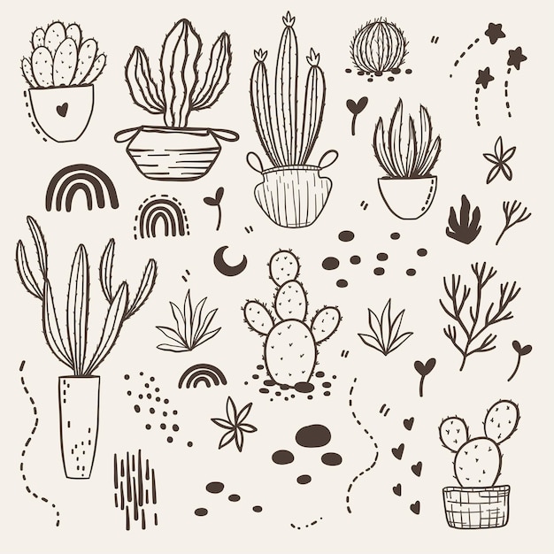 Vector boho cactus Plantas em um vaso de flores e suculentas Ilustração de cores quentes