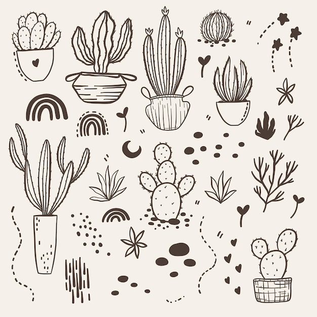 Vetor vector boho cactus plantas em um vaso de flores e suculentas ilustração de cores quentes