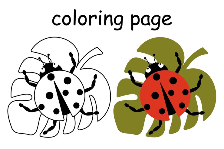 Vetor vector bonita mariposa sentada em uma folha ilustração de estilo desenho animado para colorir livro de colorir