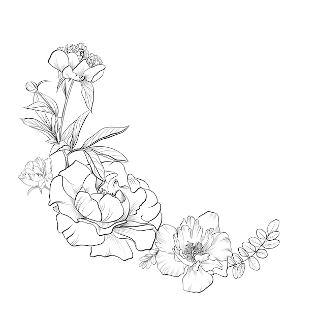 Vector botânico de cantos de flores de peônia