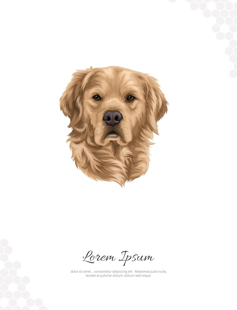 Vector Cão Labrador ideias de decoração de parede retrato