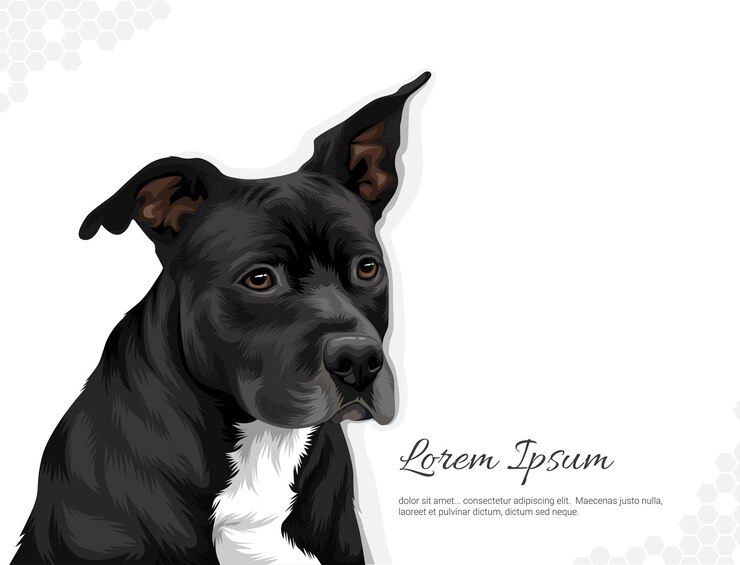 Vetor vector cão raça americano staffordshire terrier ideias de decoração de parede