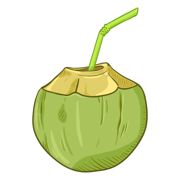 Vetor vector cartoon ilustração coquetel de coco com canudo