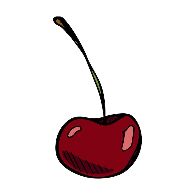 Vector cereja clipart ícone de baga desenhado à mão ilustração de frutas