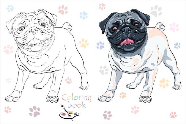 Vetor vector coloring book página 5 raça de cão pug bonito