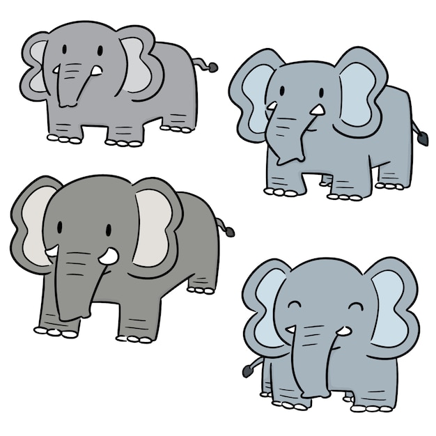 Vector conjunto de elefante