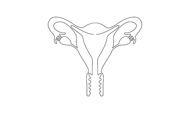 Vetor vector contínuo um simples desenho de linha única abstrata do útero feminino conceito de médico