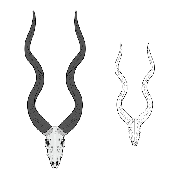 Vector crânio animal ilustração desenhada à mão logotipo de estilo ocidental isolado em branco