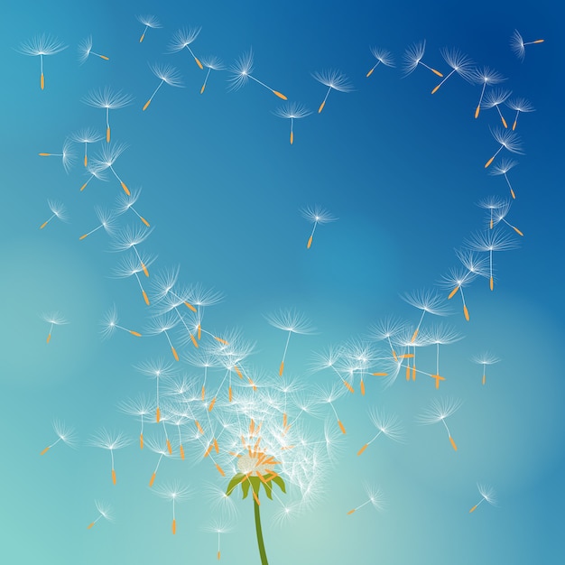 Vetor vector dandelion com sementes voando com o vento formando amor