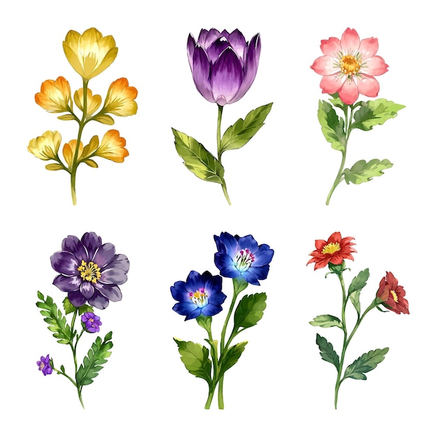 Vector de aquarela conjunto de flores folhas florais coleção de folhas ilustrações florais e botânicas