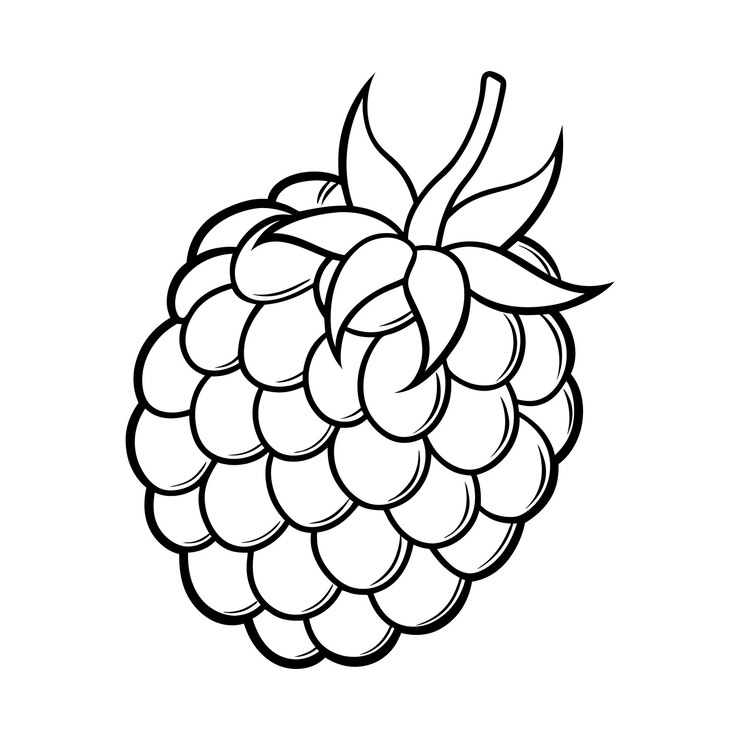 Vetor vector de arte raspberry line para conceitos de design minimalista e moderno