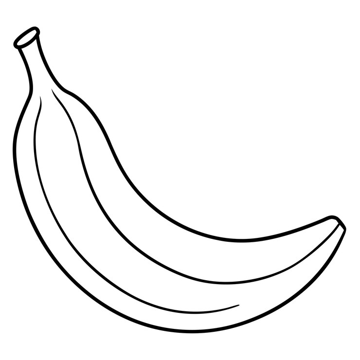 Vetor vector de banana e ilustração