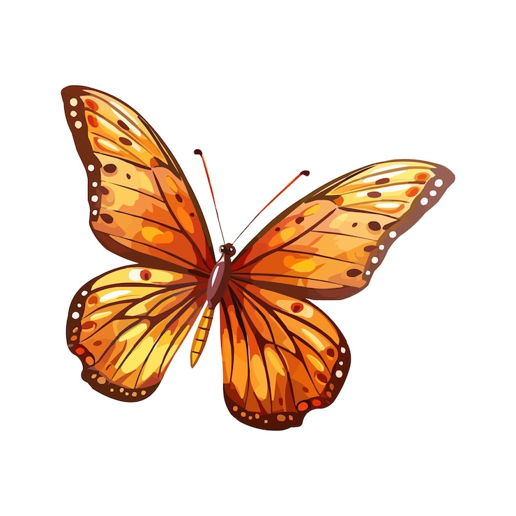 Vetor vector de borboleta bonita e bonita