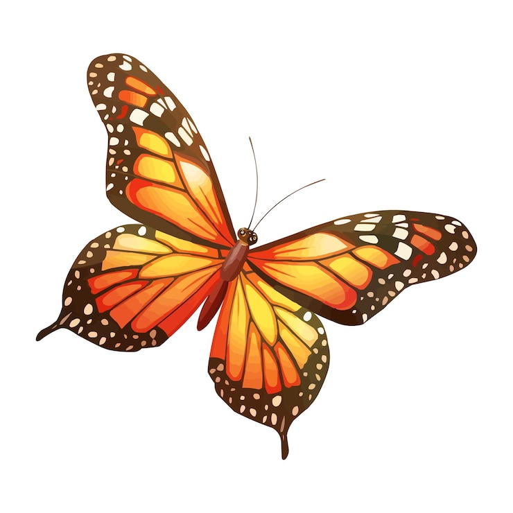 Vetor vector de borboleta bonita e bonita