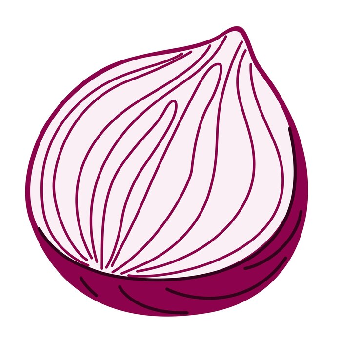Vetor vector de cebola vermelha desenhado à mão capturando as intrincadas camadas do vegetal em um estilo simples