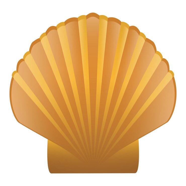 Vetor vector de conchas marinhas2