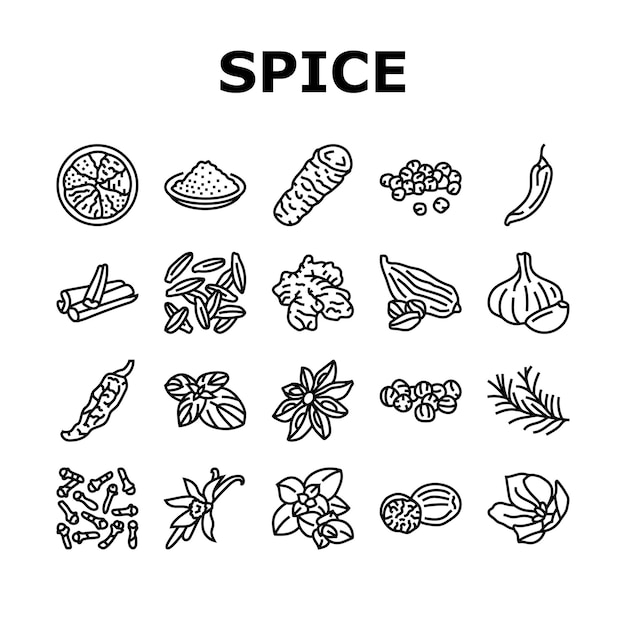 Vector de conjunto de ícones de folhas de ervas alimentares de especiarias