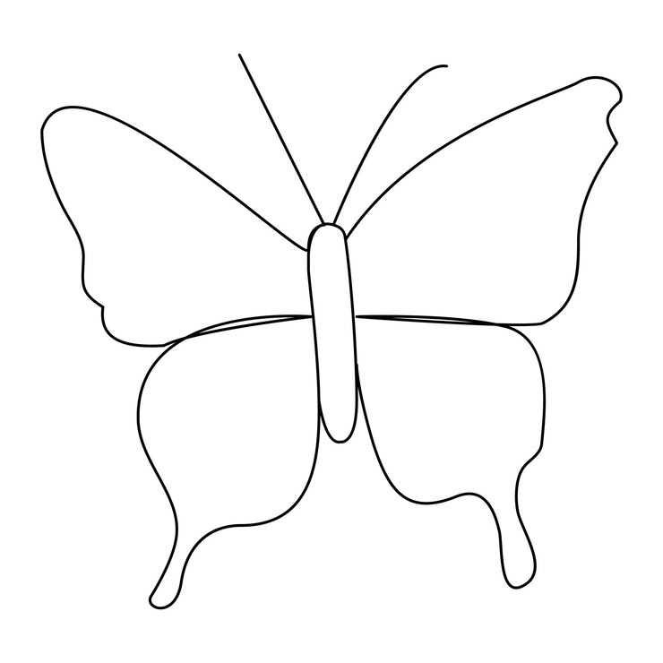 Vetor vector de contorno de borboleta contínuo de uma linha isolado em fundo branco ilustração vetorial