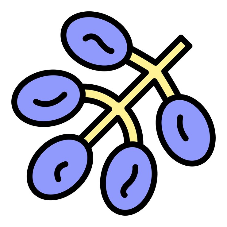 Vetor vector de contorno de ícone de sementes secas fruta de data de cor natural saudita plana
