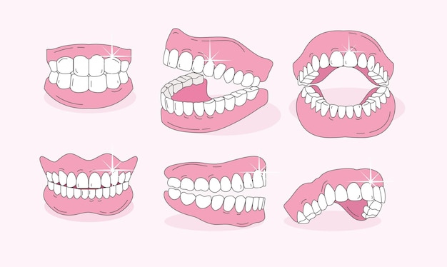 Vetor vector de dentes falsos