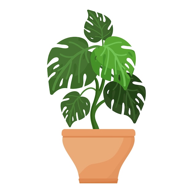 Vetor vector de desenho animado de ícone de vaso de planta monstera planta tropical