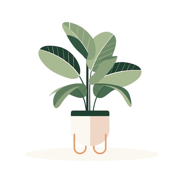 Vector de estilo plano escandinavo ilustração de uma planta de folhagem ficus adesivo planta pot isolado hou