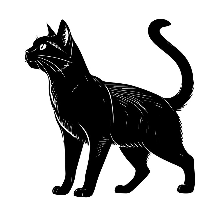 Vetor vector de gato