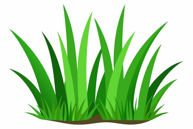 Vector de grama verde em fundo branco