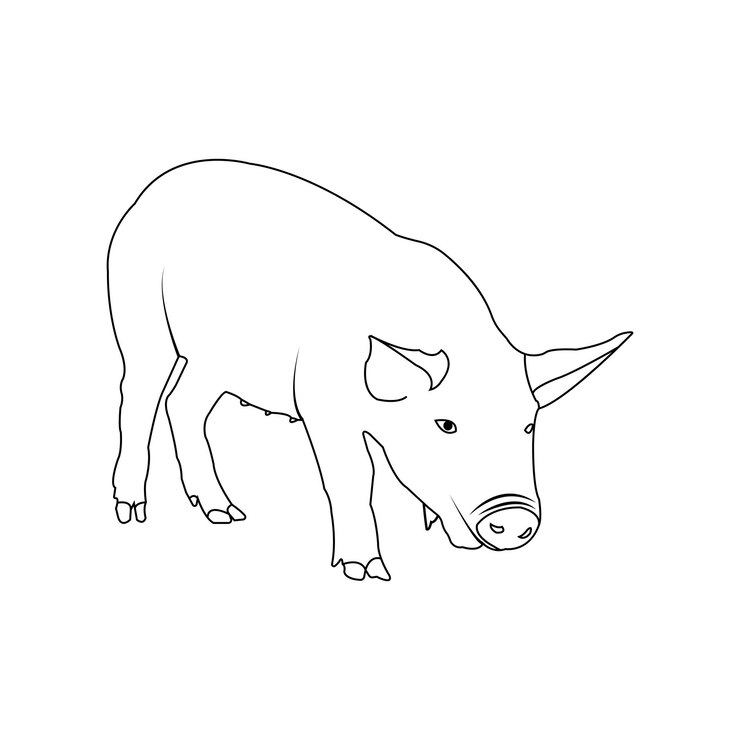 Vetor vector de ícone de porco