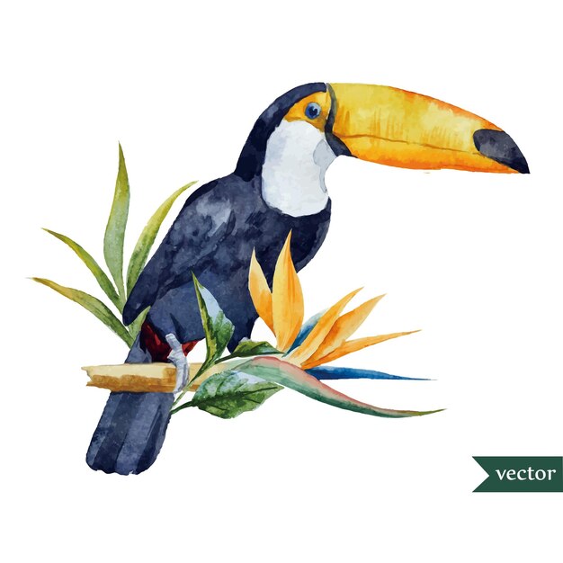 Vetor vector de ilustração de aves