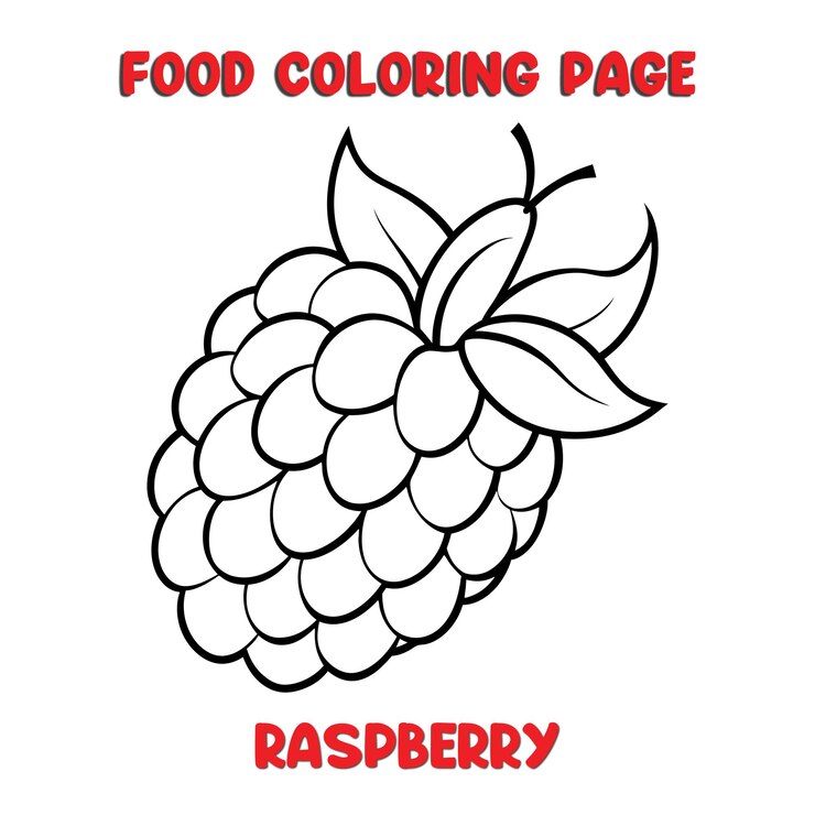 Vetor vector de ilustração de raspberry página de coloração para crianças