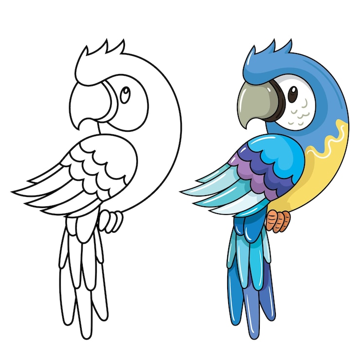 Vetor vector de imagem de ilusão de papagaio azul com desenho simples e arte de linhas
