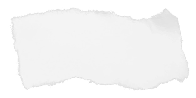 Vector de textura de papel rasgado detalhado com bordas ásperas para uso versátil em design gráfico artístico