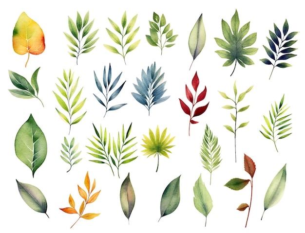 Vector desenhado à mão aquarela folhas florais ilustração clipart