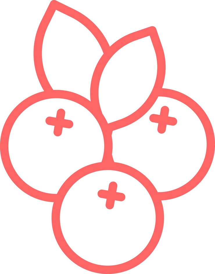 Vetor vector design blueberry burst icon estilo