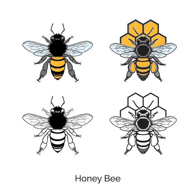 Vetor vector do logotipo da abelha