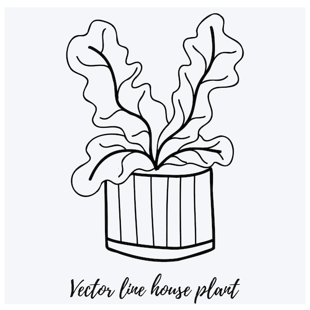 Vector doodle cactus illustration Planta de casa de arte de linha preta em uma panela. Para designs e fundos